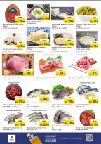 الانتقال إلى الصفحة 12 من 17