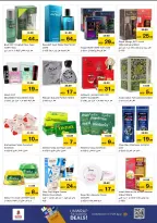 الانتقال إلى الصفحة 13 من 17