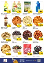 الانتقال إلى الصفحة 8 من 17