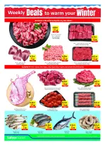 الانتقال إلى الصفحة 22 من 24