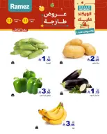 الانتقال إلى الصفحة 4 من 18