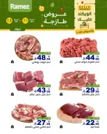 الانتقال إلى الصفحة 6 من 7