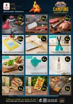 الانتقال إلى الصفحة 9 من 11