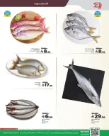 الانتقال إلى الصفحة 4 من 5