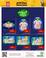 الانتقال إلى الصفحة 21 من 24