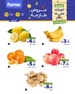 الانتقال إلى الصفحة 2 من 11