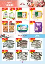 الانتقال إلى الصفحة 8 من 25