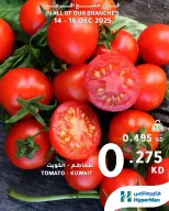 الانتقال إلى الصفحة 3 من 9