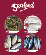 الانتقال إلى الصفحة 3 من 4