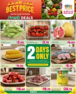 الانتقال إلى الصفحة 1 من 1