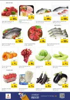 الانتقال إلى الصفحة 8 من 13