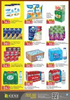 الانتقال إلى الصفحة 13 من 25