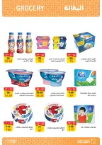 الانتقال إلى الصفحة 11 من 60