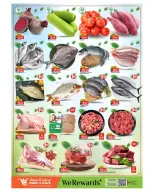 الانتقال إلى الصفحة 16 من 16