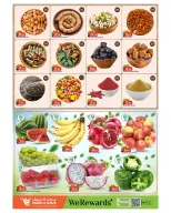 الانتقال إلى الصفحة 3 من 16