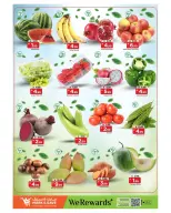 الانتقال إلى الصفحة 12 من 16