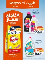 الانتقال إلى الصفحة 20 من 22