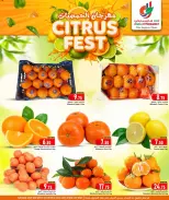 الانتقال إلى الصفحة 3 من 6