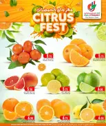 الانتقال إلى الصفحة 2 من 6