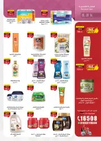 الانتقال إلى الصفحة 43 من 52