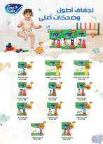 الانتقال إلى الصفحة 42 من 52