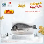 الانتقال إلى الصفحة 7 من 12