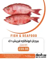 الانتقال إلى الصفحة 2 من 17