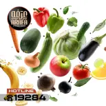 الانتقال إلى الصفحة 2 من 7