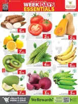 الانتقال إلى الصفحة 2 من 5