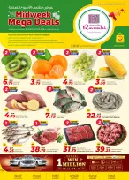 الانتقال إلى الصفحة 1 من 1