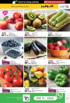 الانتقال إلى الصفحة 17 من 39