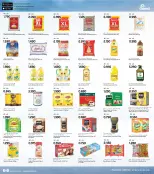 الانتقال إلى الصفحة 7 من 16