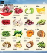 الانتقال إلى الصفحة 10 من 38