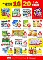 الانتقال إلى الصفحة 10 من 29