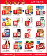 الانتقال إلى الصفحة 67 من 96