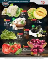 الانتقال إلى الصفحة 8 من 10