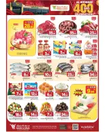 الانتقال إلى الصفحة 10 من 50