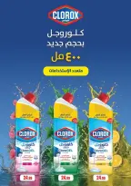 الانتقال إلى الصفحة 61 من 80