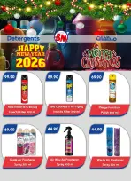 الانتقال إلى الصفحة 29 من 30