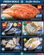 الانتقال إلى الصفحة 3 من 10