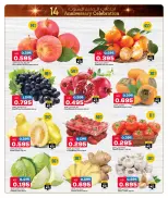 الانتقال إلى الصفحة 2 من 12