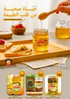 الانتقال إلى الصفحة 58 من 110