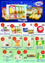 الانتقال إلى الصفحة 13 من 110