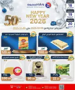 الانتقال إلى الصفحة 3 من 31