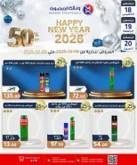 الانتقال إلى الصفحة 20 من 31