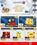 الانتقال إلى الصفحة 26 من 31