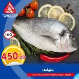 الانتقال إلى الصفحة 5 من 8