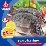 الانتقال إلى الصفحة 1 من 8