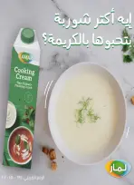 الانتقال إلى الصفحة 53 من 77