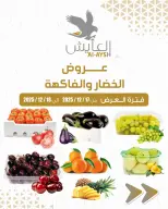 الانتقال إلى الصفحة 1 من 3